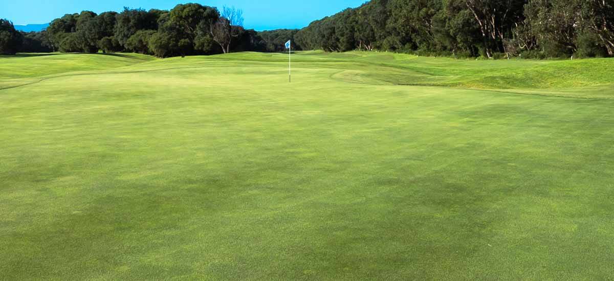 Golf coarse The Heads Golf Shop promo