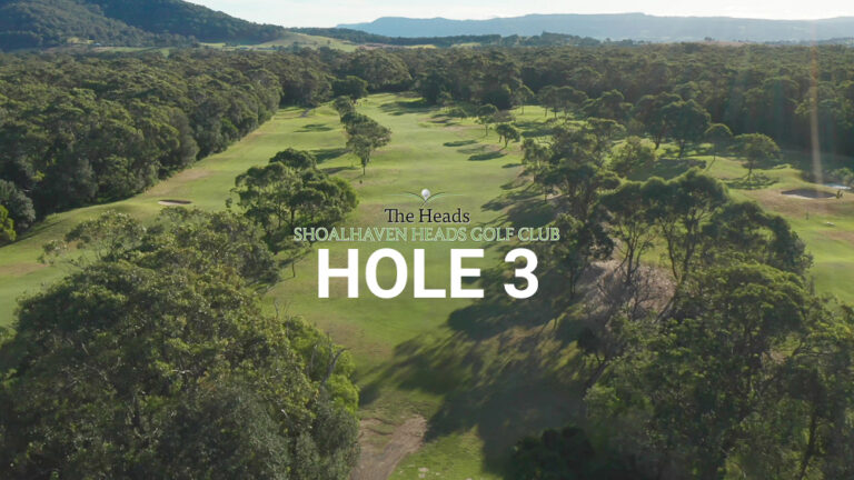 Hole 3 — Aerial view of the tree-lined fairway at The Heads, Shoalhaven Heads Golf Club, with native coastal bush framing the course and mountain views in the distance.