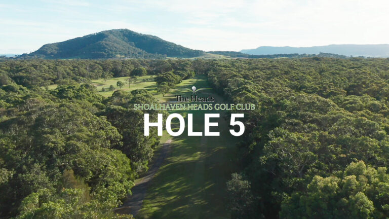 Hole 5 — Aerial view of the tree-lined fairway at The Heads, Shoalhaven Heads Golf Club, with native coastal bush framing the course and Mount Coolangatta in the distance.