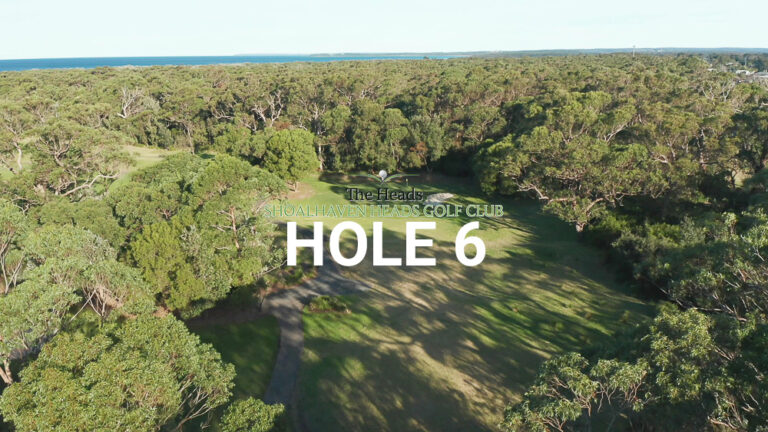 Hole 6 — Aerial view of the tree-lined fairway at The Heads, Shoalhaven Heads Golf Club, with native coastal bush framing the course and water views in the distance.