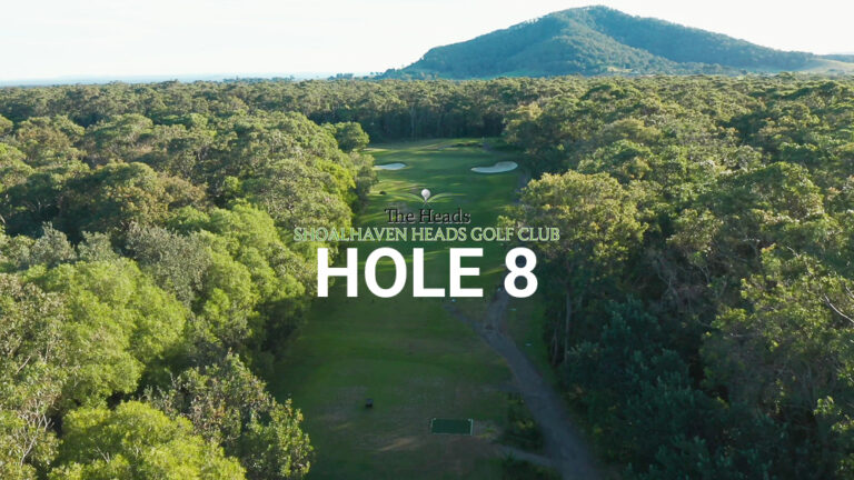 Hole 8 — Aerial view of the tree-lined fairway at The Heads, Shoalhaven Heads Golf Club, with native coastal bush framing the course and Mount Coolangatta views in the distance.