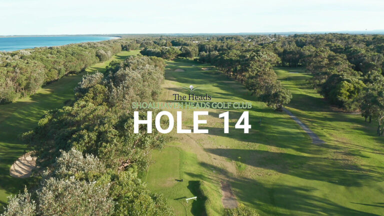 Hole 9 — Aerial view of the tree-lined fairway at The Heads, Shoalhaven Heads Golf Club, with native coastal bush framing the course and water views in the distance.