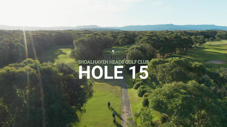 Hole 15 — Aerial view of the tree-lined fairway at The Heads, Shoalhaven Heads Golf Club, with native coastal bush framing the course and mountain views in the distance.