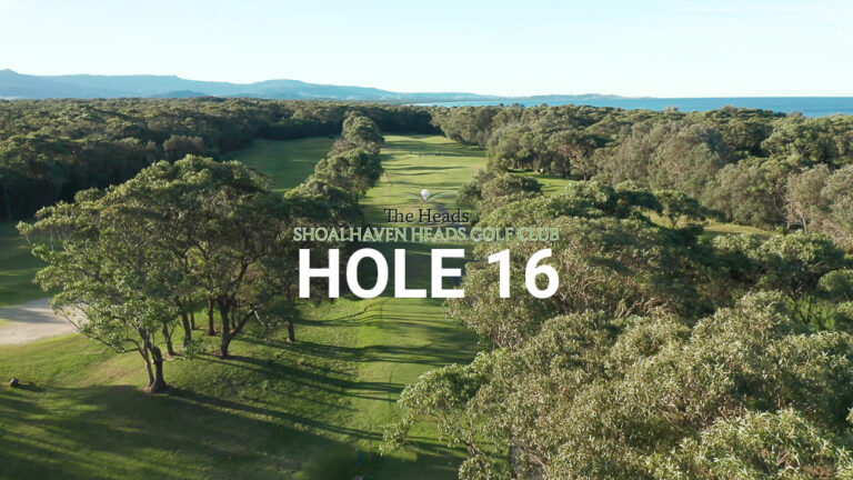 Hole 16 — Aerial view of the tree-lined fairway at The Heads, Shoalhaven Heads Golf Club, with native coastal bush framing the course and mountain & water views in the distance.